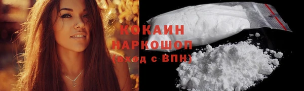 a pvp Богданович