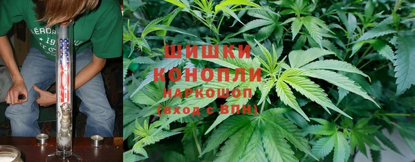 a pvp Богданович