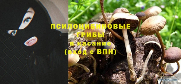 a pvp Богданович