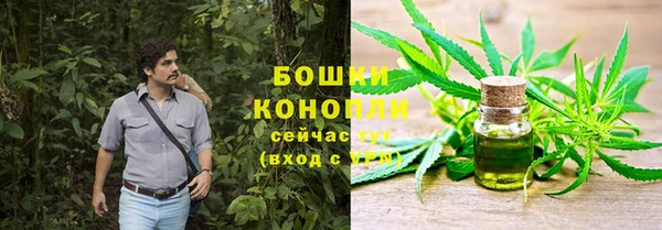 a pvp Богданович