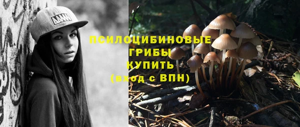 a pvp Богданович