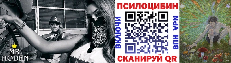 Галлюциногенные грибы ЛСД  купить   Горно-Алтайск 